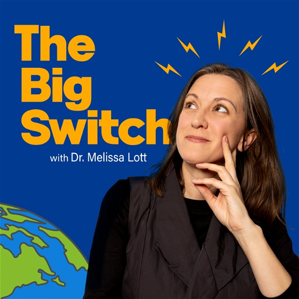 Artwork for The Big Switch