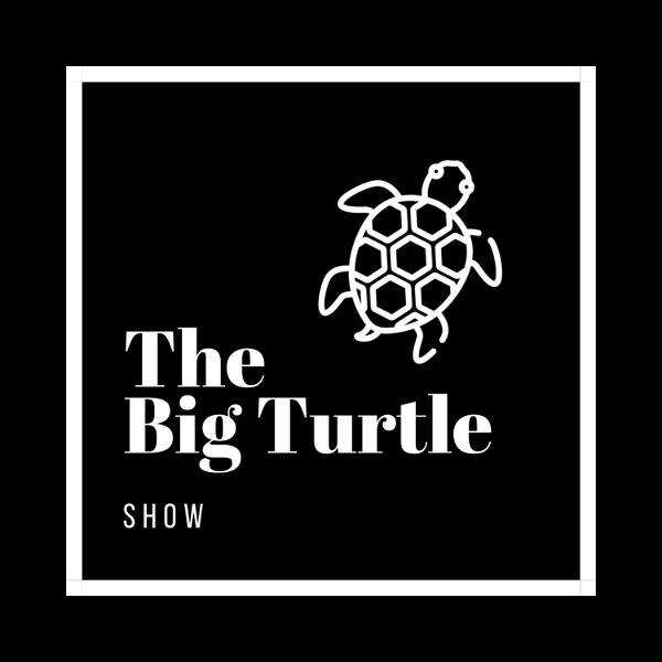Artwork for The Big Turtle Show