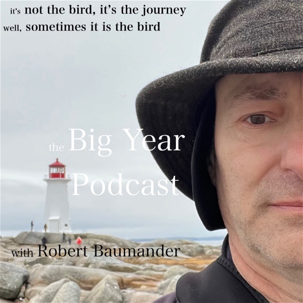 Artwork for The Big Year Podcast