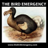The Bird Emergency