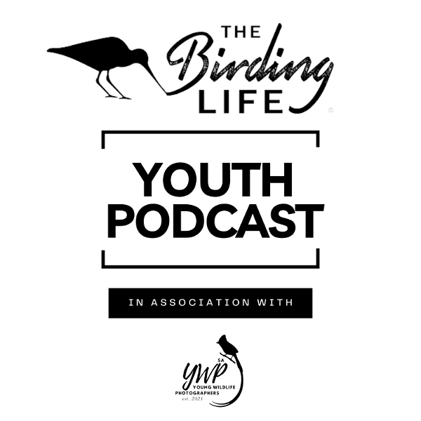Artwork for The Birding Life Youth Podcast