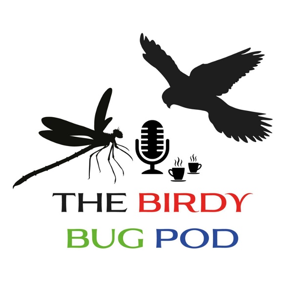 Artwork for The Birdy Bug Pod