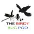 The Birdy Bug Pod