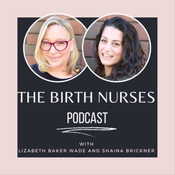 Artwork for The Birth Nurses