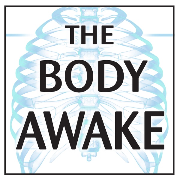 Artwork for The Body Awake
