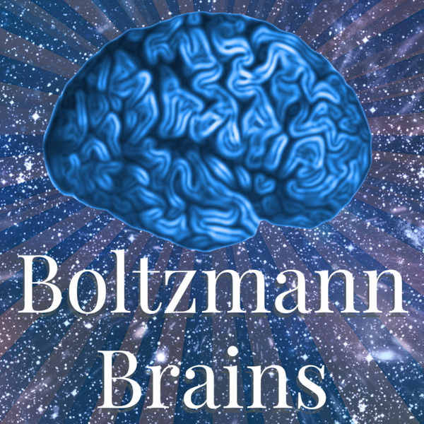 Artwork for The Boltzmann Brains