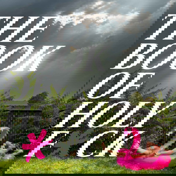 Artwork for The Book of Holy F*ck