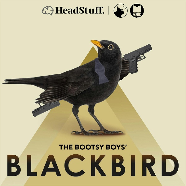 Artwork for The Bootsy Boys' Blackbird
