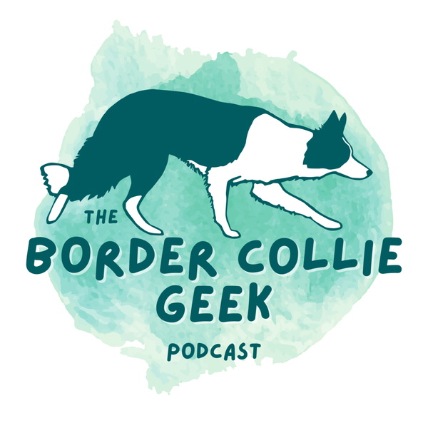 Artwork for The Border Collie Geek Podcast