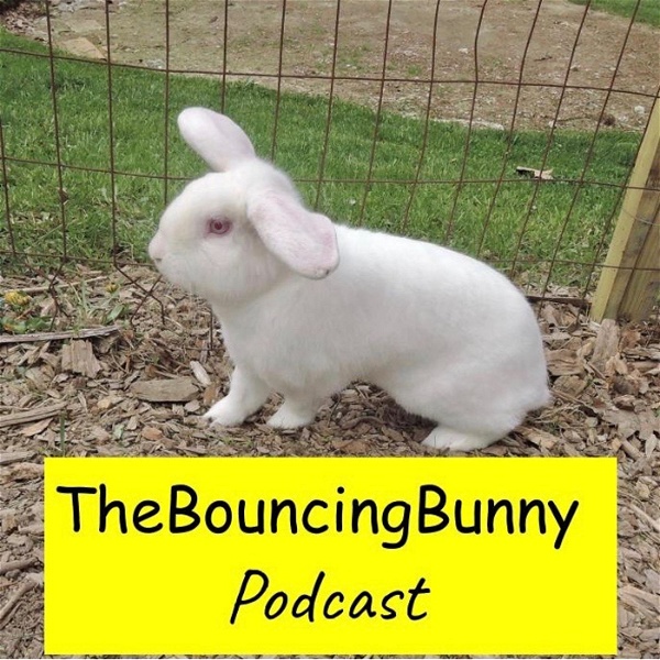 Artwork for The Bouncing Bunny