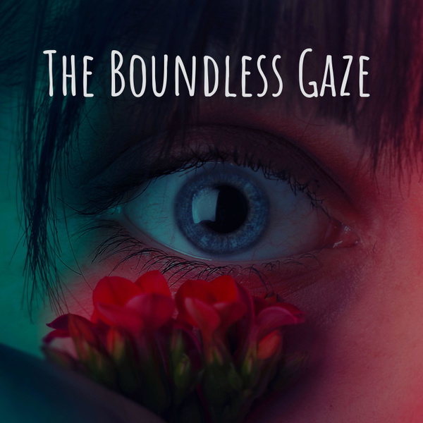 Artwork for The Boundless Gaze