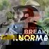 The Breaking Normal Podcast