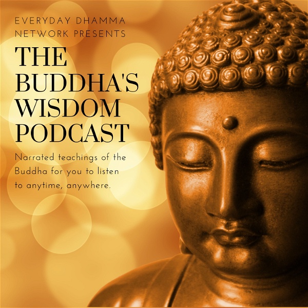 Artwork for The Buddha’s Wisdom Podcast