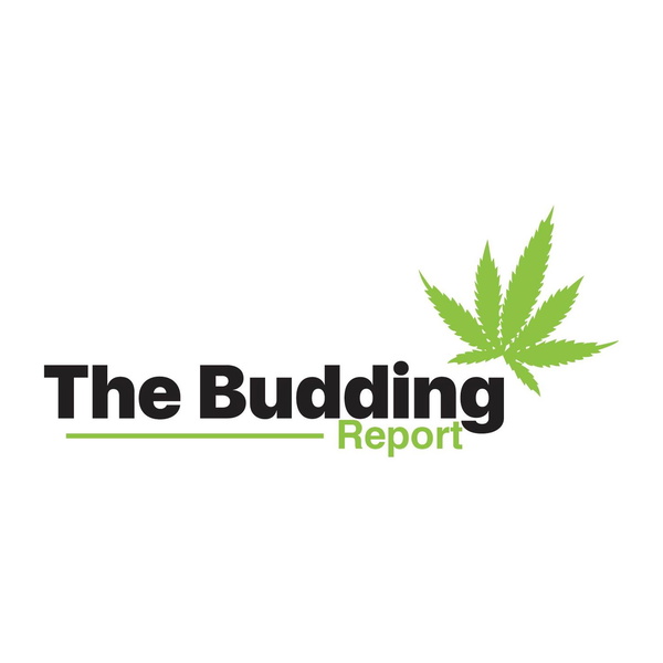 Artwork for The Budding Report