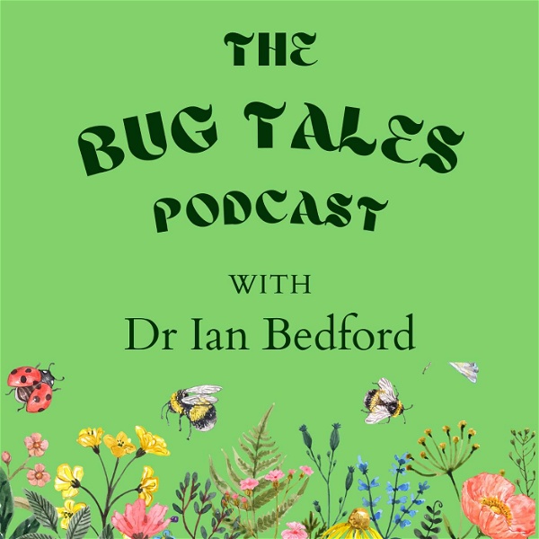 Artwork for The Bug Tales Podcast