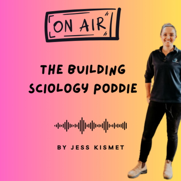 Artwork for The Building Sciology Poddie