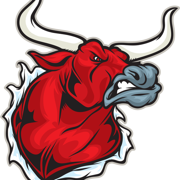 Artwork for The Bullvine