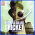 The Business Called Cricket