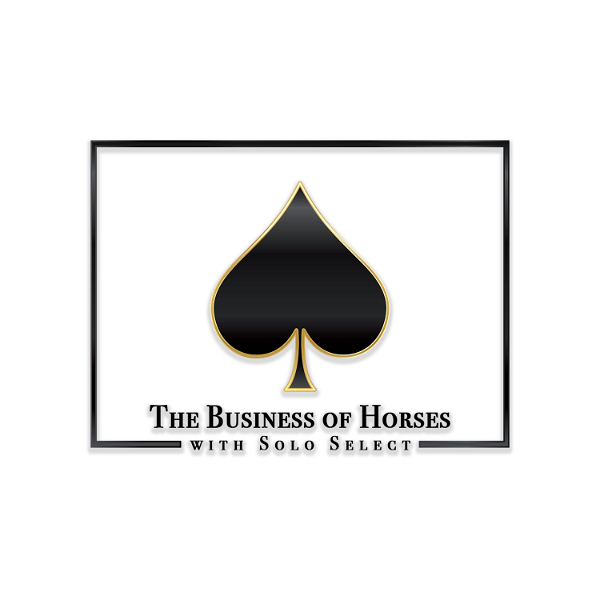 Artwork for The Business of Horses with Solo Select