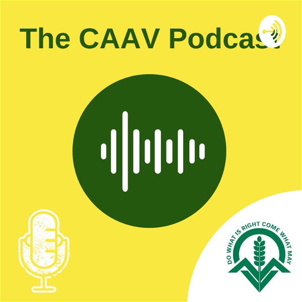 Artwork for The CAAV Podcast