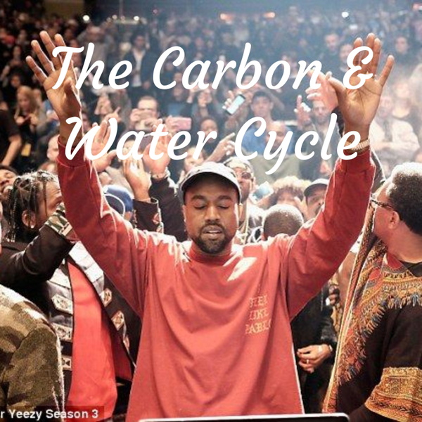 Artwork for The Carbon & Water Cycle