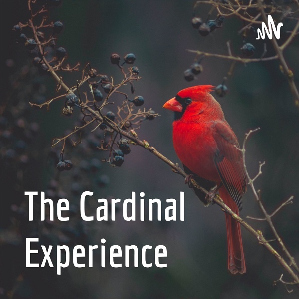 Artwork for The Cardinal Experience
