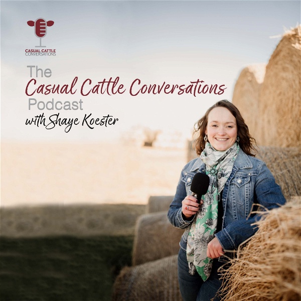 Artwork for The Casual Cattle Conversations Podcast