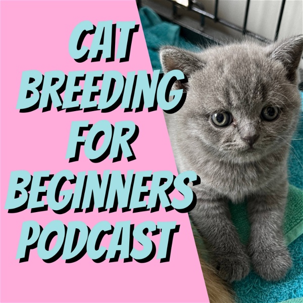 Artwork for The Cat Breeding For Beginners Podcast