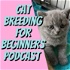 The Cat Breeding For Beginners Podcast
