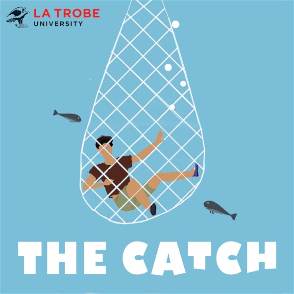 Artwork for The Catch