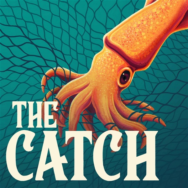 Artwork for The Catch