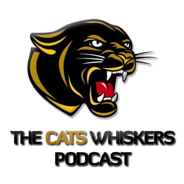 Artwork for The Cats Whiskers