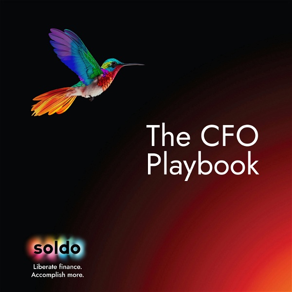 Artwork for The CFO Playbook