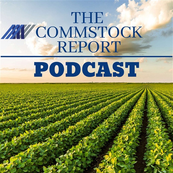 Artwork for The Commstock Report Podcast