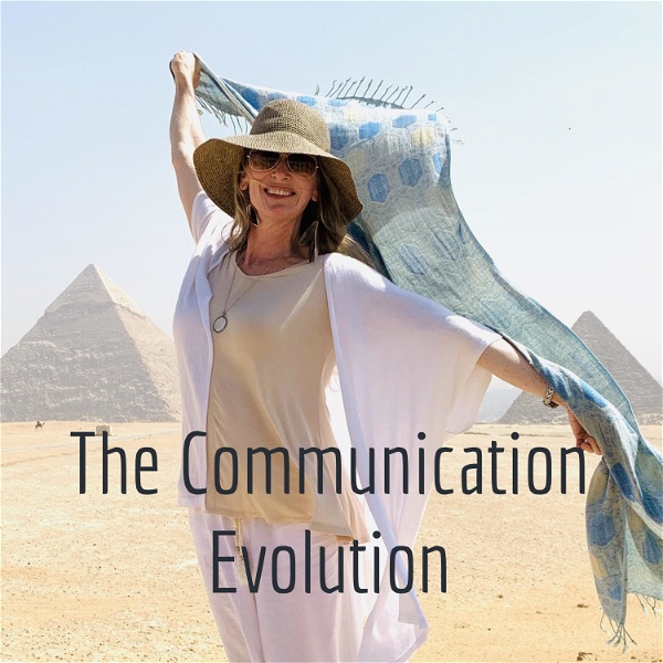 Artwork for The Communication Evolution