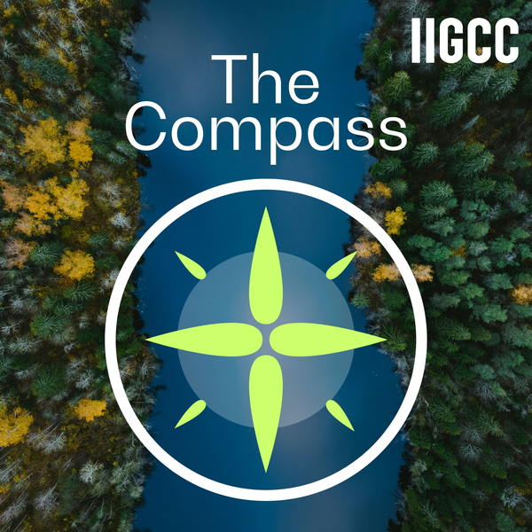 Artwork for The Compass