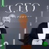 The Connected Accountant