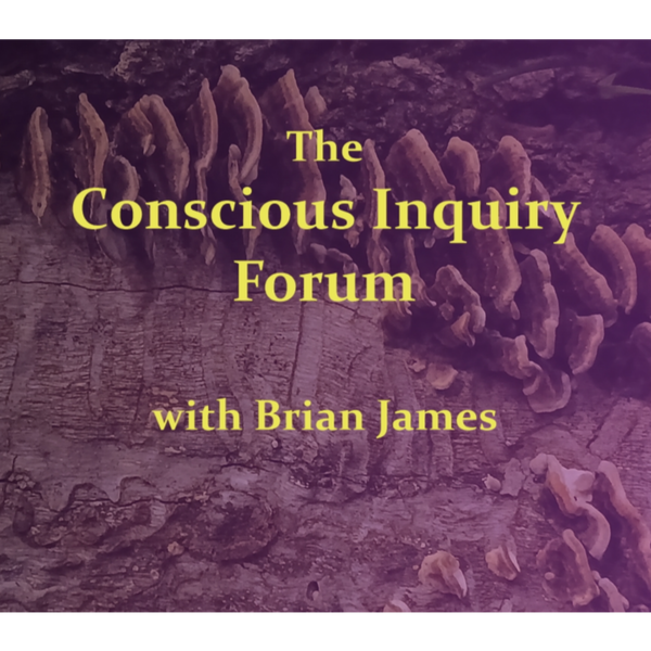 Artwork for The Conscious Inquiry Forum