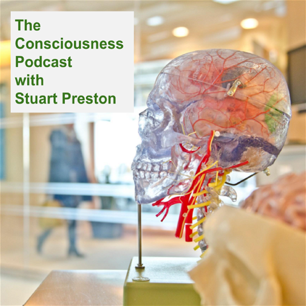 Artwork for The Consciousness Podcast