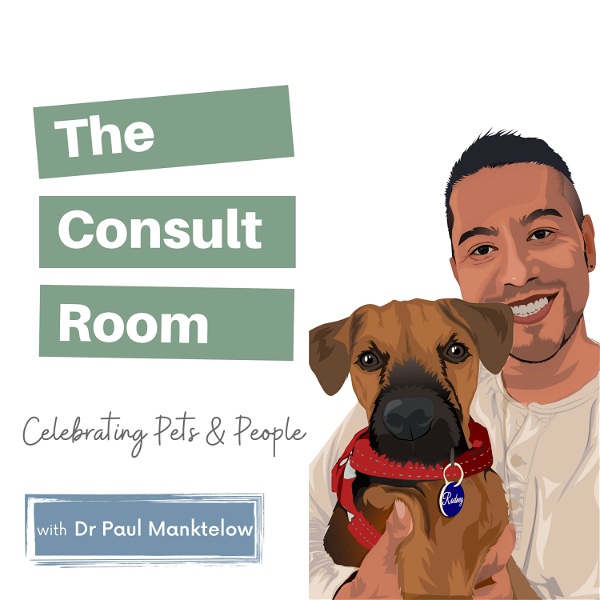 Artwork for The Consult Room