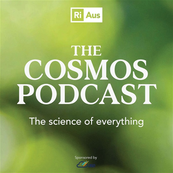 Artwork for The Cosmos Podcast