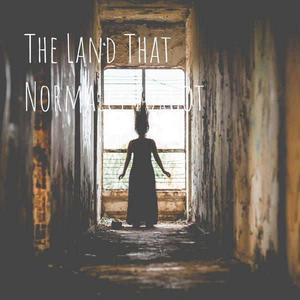 Artwork for The Country Music Sessions