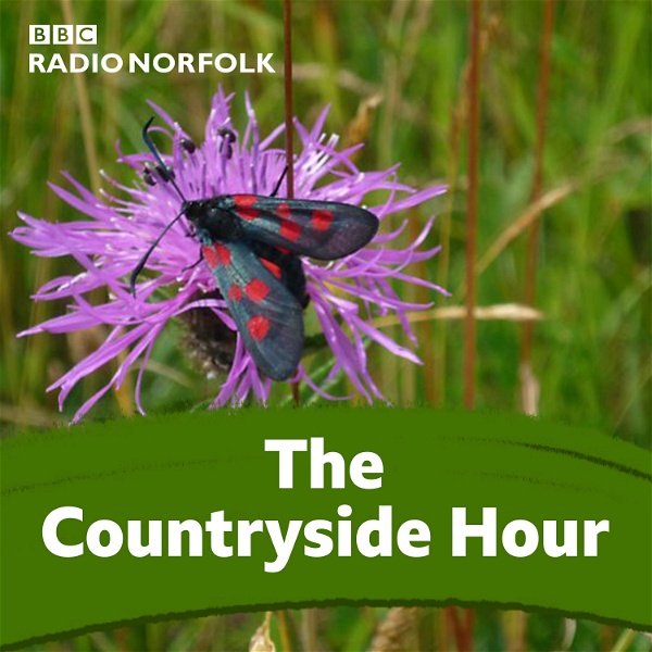 Artwork for The Countryside Hour