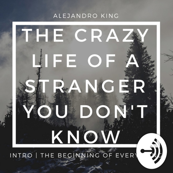 Artwork for The Crazy Life Of A Stranger You Don't Know
