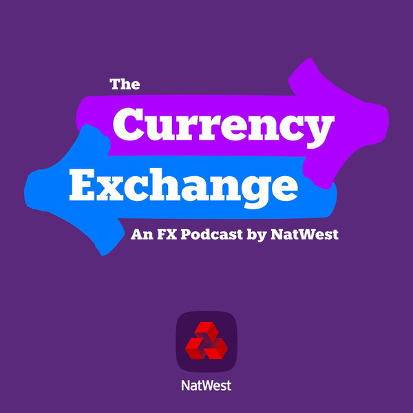 Artwork for The Currency Exchange