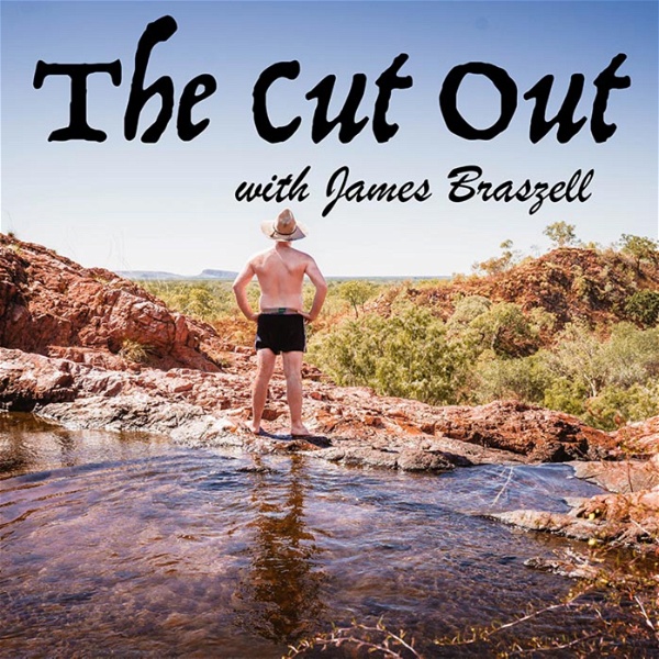 Artwork for The Cut Out