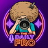 The Daily FRO