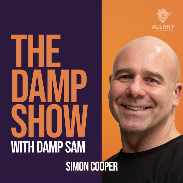Artwork for The Damp Show