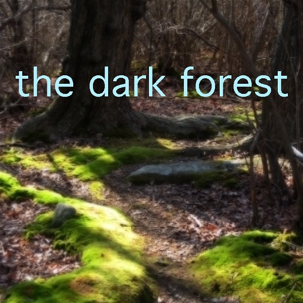 Artwork for The Dark Forest