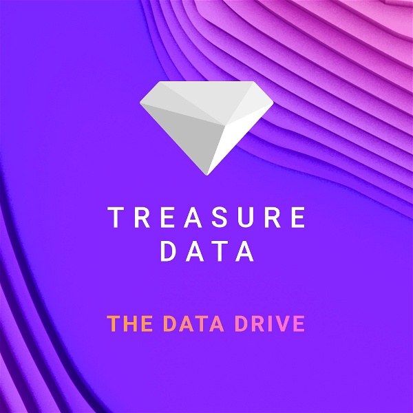 Artwork for The Data Drive